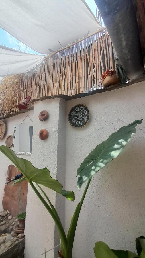 Kosta Apartments Subotica Zewnętrze zdjęcie